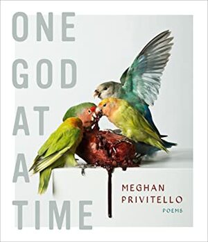 One God at a Time by Meghan Privitello