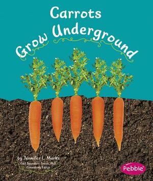 Carrots Grow Underground by Mari Schuh