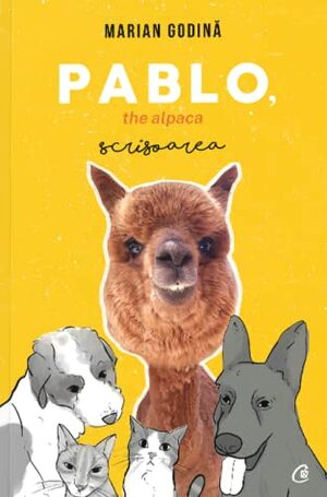 Pablo, the alpaca. Scrisoarea by Marian Godină