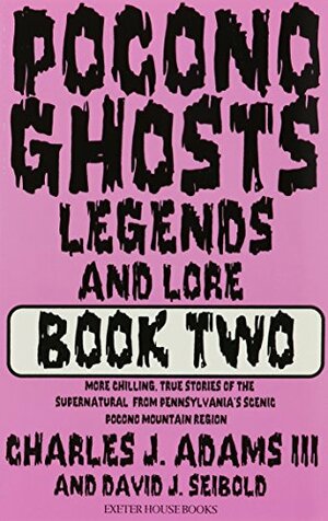 Pocono Ghosts : Book 2 by David J. Seibold, Charles J. Adams III, David J. Siebold