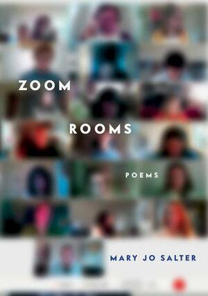 Zoom Rooms: Poems by Mary Jo Salter
