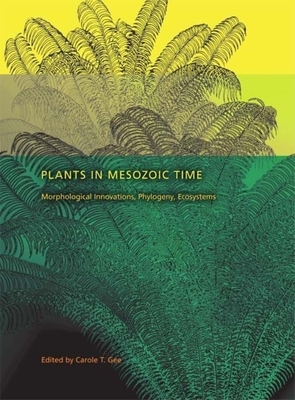 Plants in Mesozoic Time: Morphological Innovations, Phylogeny, Ecosystems by 