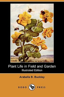 Plant Life in Field and Garden (Illustrated Edition) (Dodo Press) by Arabella B. Buckley