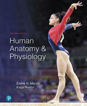 Human Anatomy & Physiology by Katja Hoehn, Elaine Marieb