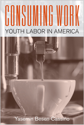 Consuming Work: Youth Labor in America by Yasemin Besen-Cassino