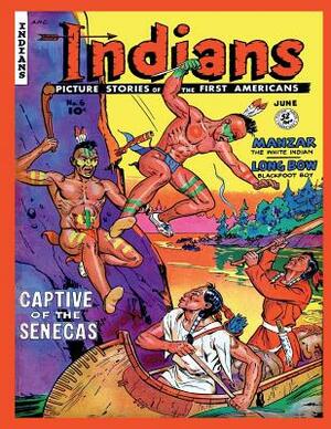 Indians #6 by Fiction House