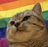 katharina13's profile picture