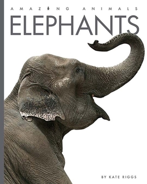 Elephants by Kate Riggs