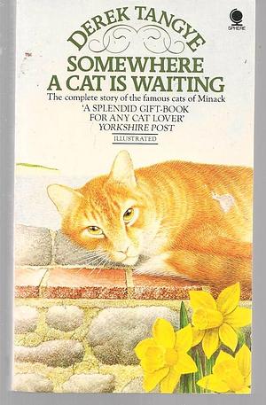 Somewhere a Cat is Waiting by Derek Tangye, Derek Tangye