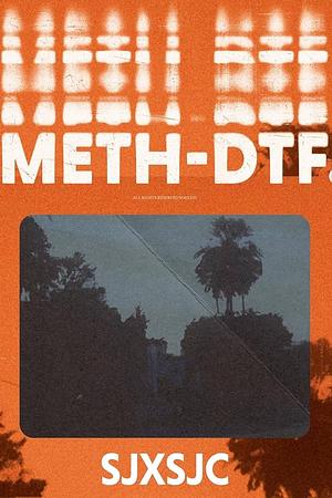 Meth-DTF by Shane Jesse Christmass