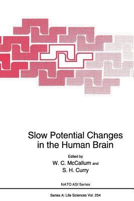 Slow Potential Changes in the Human Brain by 