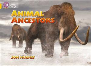 Animal Ancestors Workbook by Jon Hughes