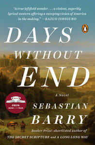 Days Without End by Sebastian Barry