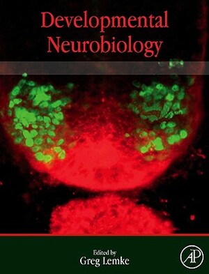 Developmental Neurobiology by 