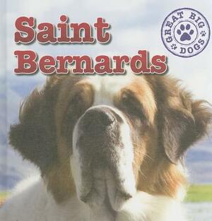 Saint Bernards by Maria Nelson