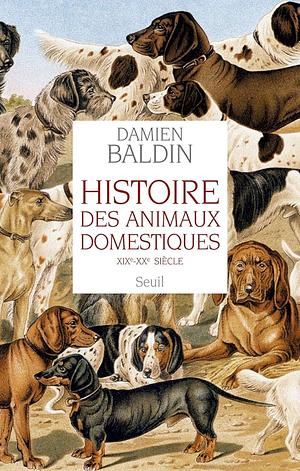 Histoire des animaux domestiques: XIXe-XXe siècle by Damien Baldin