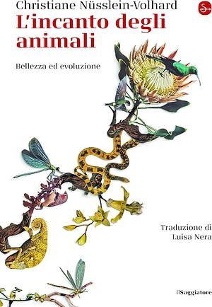 L'incanto degli animali: Bellezza ed evoluzione by Christiane Nüsslein-Volhard