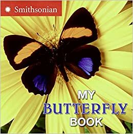 My Butterfly Book by Melissa Stewart