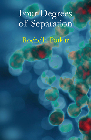 Four Degrees of Separation by Rochelle Potkar
