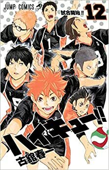 Haikyu!! - Fly High! Volleyball!, Vol. 12 by Haruichi Furudate