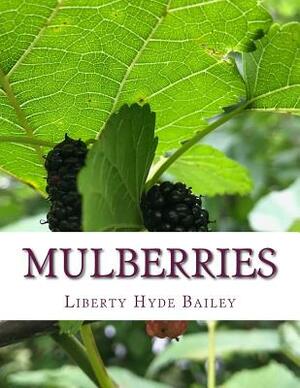 Mulberries by Liberty Hyde Bailey
