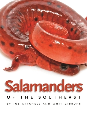 Salamanders of the Southeast by Joe Mitchell, Whit Gibbons