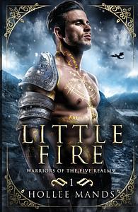 Little Fire by Hollee Mands