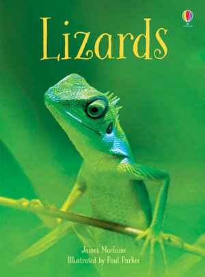 Lizards by James MacLaine