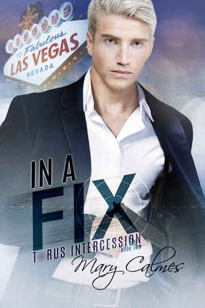 In a Fix by Mary Calmes