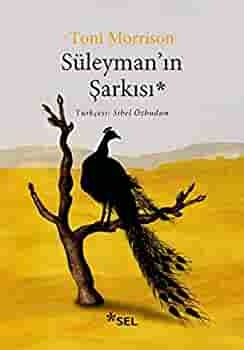 Süleyman'ın Şarkısı by Toni Morrison, Bülent Oral Doğan