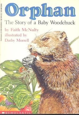 Orphan: The Story of a Baby Woodchuck by Faith McNulty