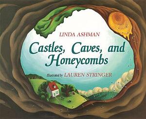 Castles, Caves, and Honeycombs Big Book by 
