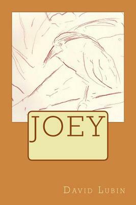 Joey by David Lubin