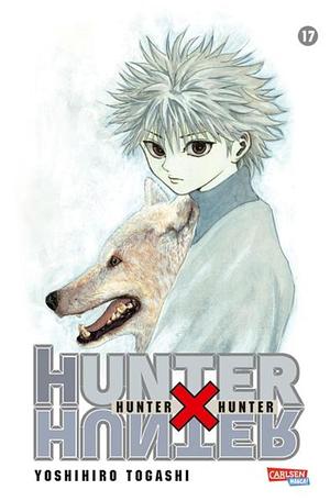 Hunter x Hunter, Band 17 by Yoshihiro Togashi