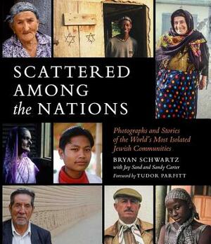 Scattered Among the Nations by Bryan Schwartz