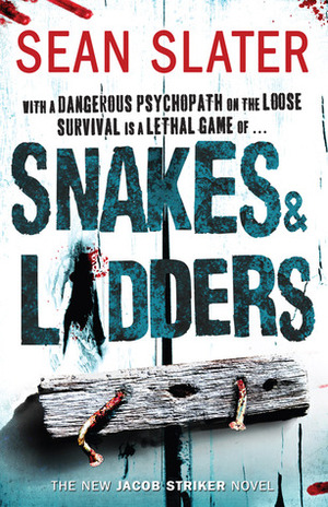 Snakes & Ladders by Sean Slater