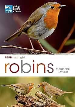 RSPB Spotlight: Robins by Marianne Taylor