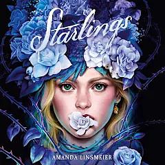 Starlings by Amanda Linsmeier