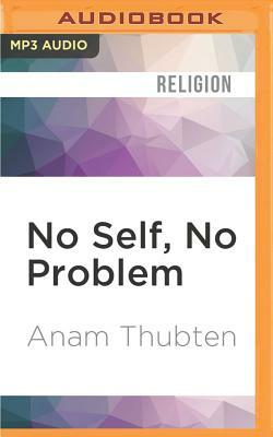 No Self, No Problem: Awakening to Our True Nature by Anam Thubten