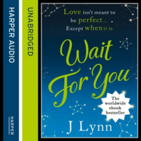Wait for You by Jennifer L. Armentrout