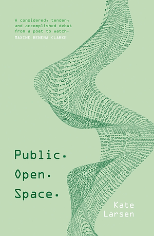 Public. Open. Space by Kate Larsen