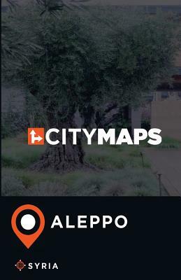 City Maps Aleppo Syria by James McFee