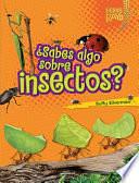 ¿Sabes algo sobre insectos? by Buffy Silverman