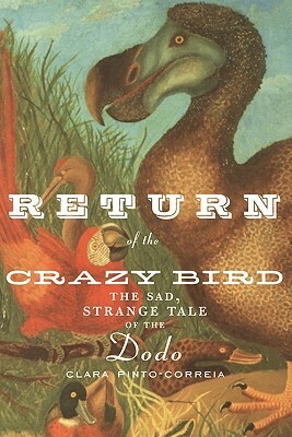 Return of the Crazy Bird: The Sad, Strange Tale of the Dodo by Clara Pinto-Correia