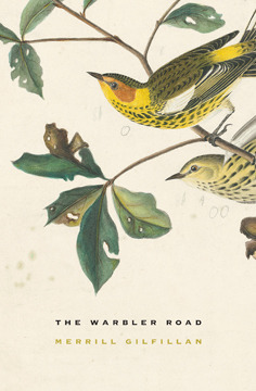 The Warbler Road by Merrill Gilfillan