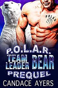 Team Leader Bear by Candace Ayers