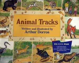 Animal Tracks Teachers Big Book by Arthur Dorros, Arthur Dorros