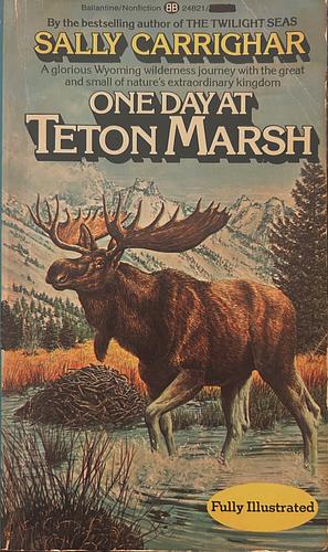 One Day at Teton Marsh by Sally Carrighar