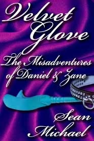 The Misadventures of Daniel & Zane by Sean Michael