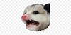texanagain's profile picture